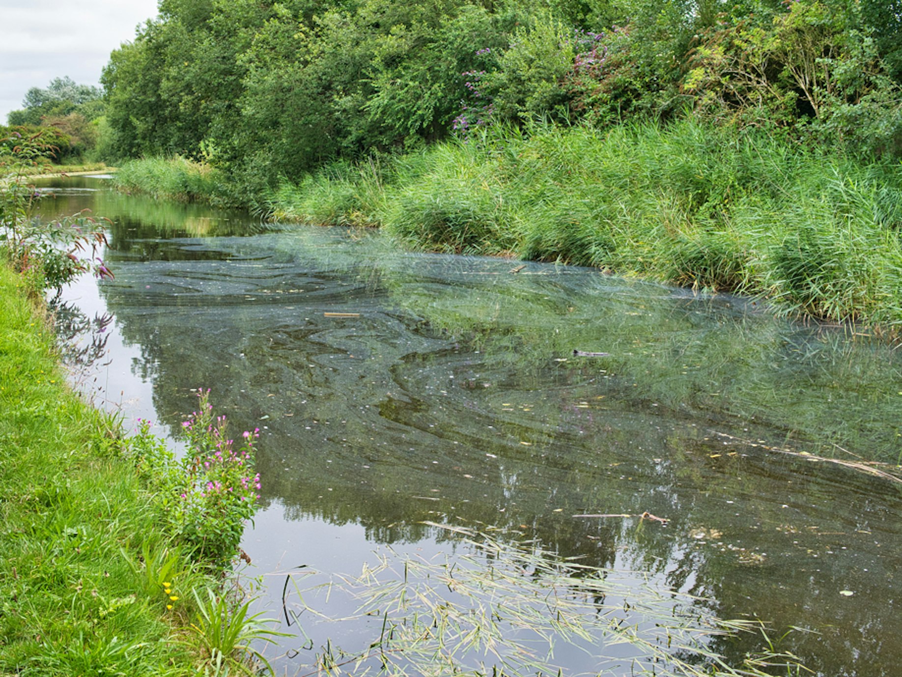 Environmental impairment liability cover