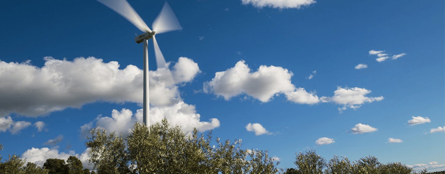 Environmental management systems