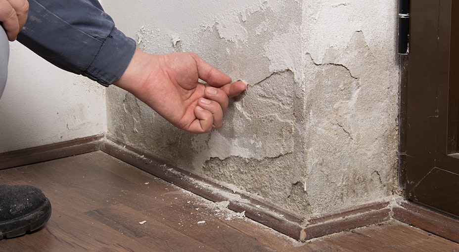 Rising damp