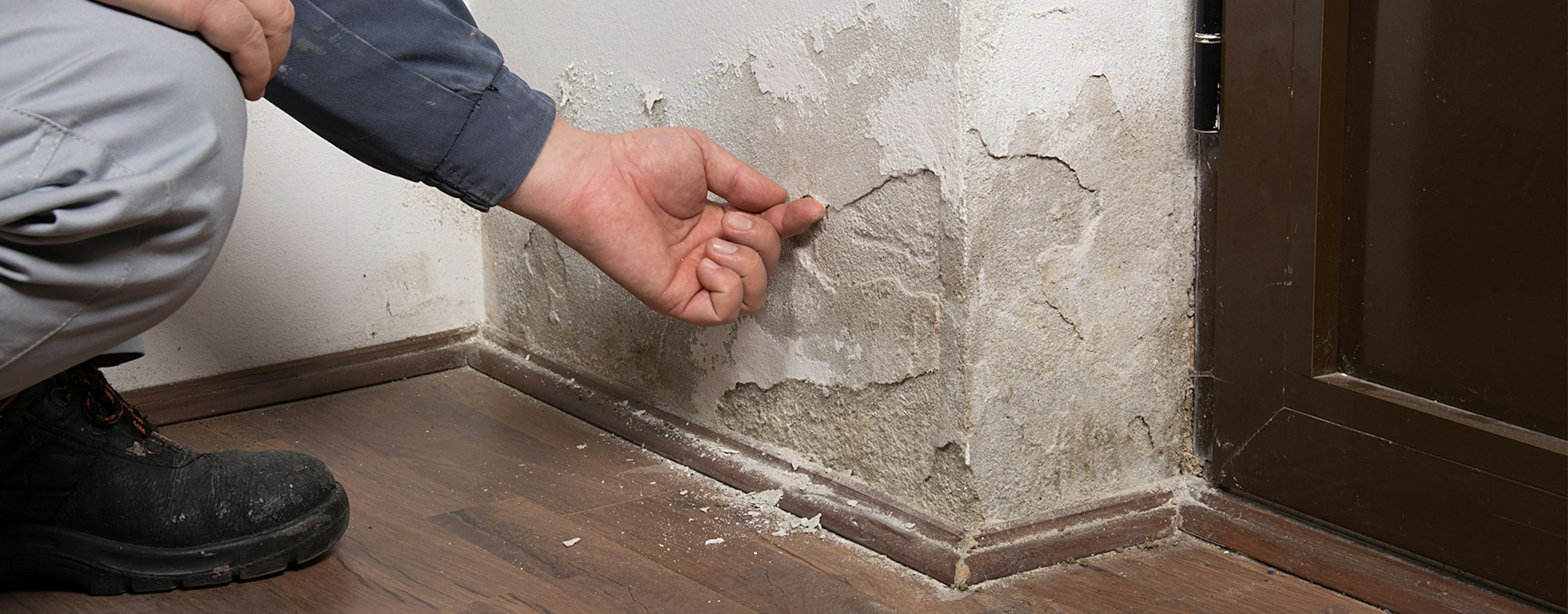Rising damp