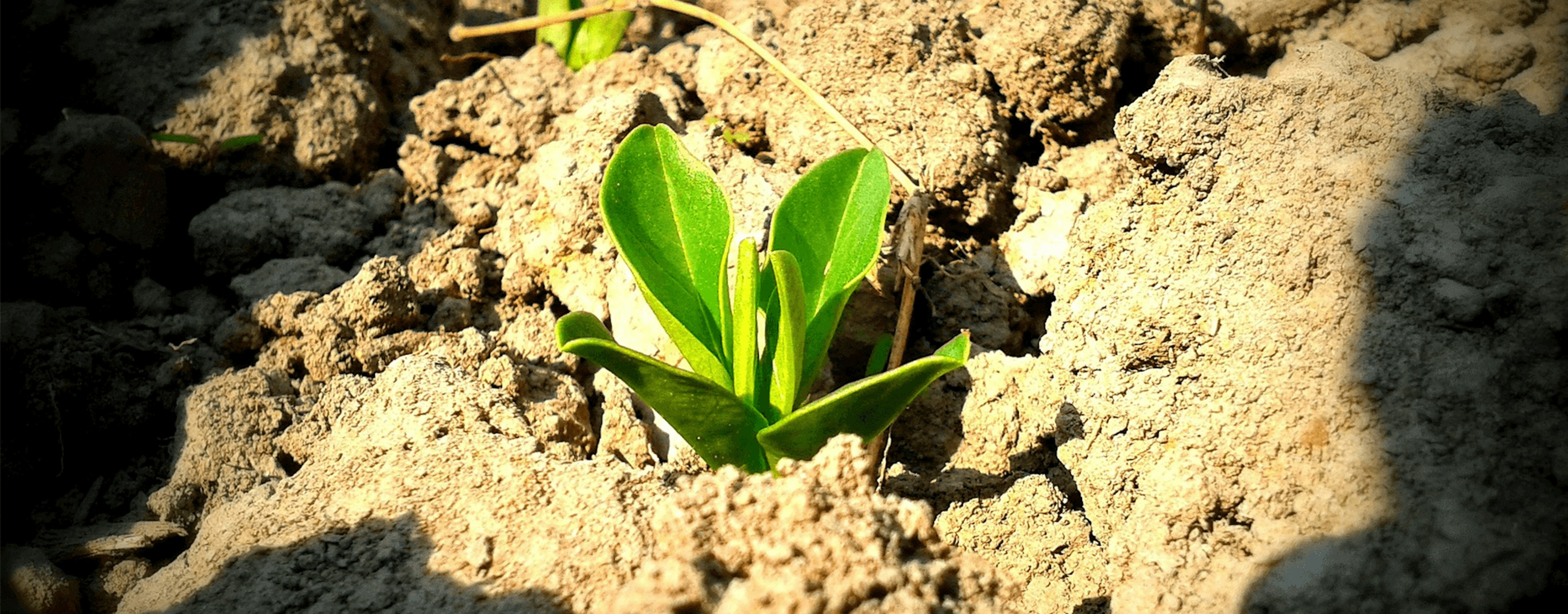 Find the best private pension