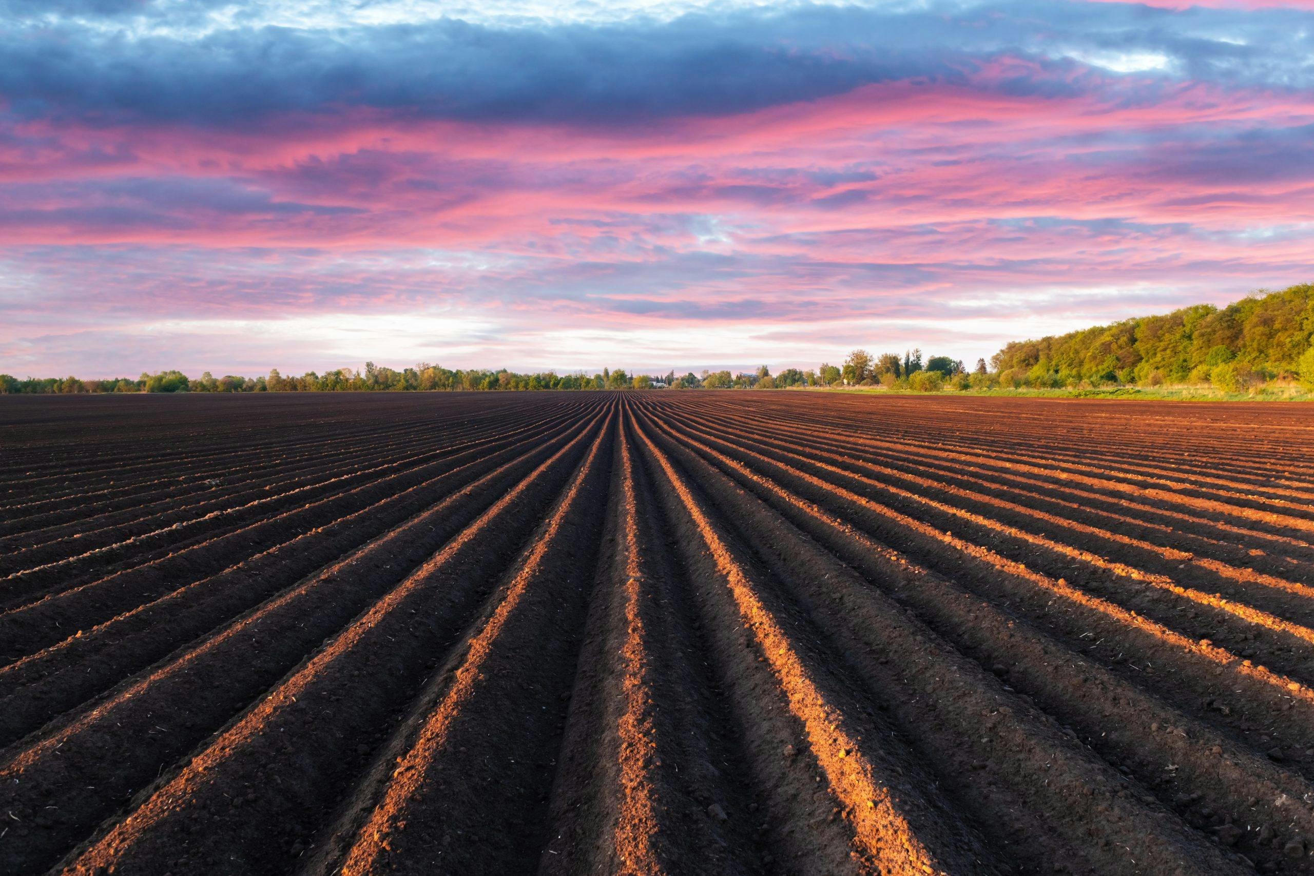 Types of farms