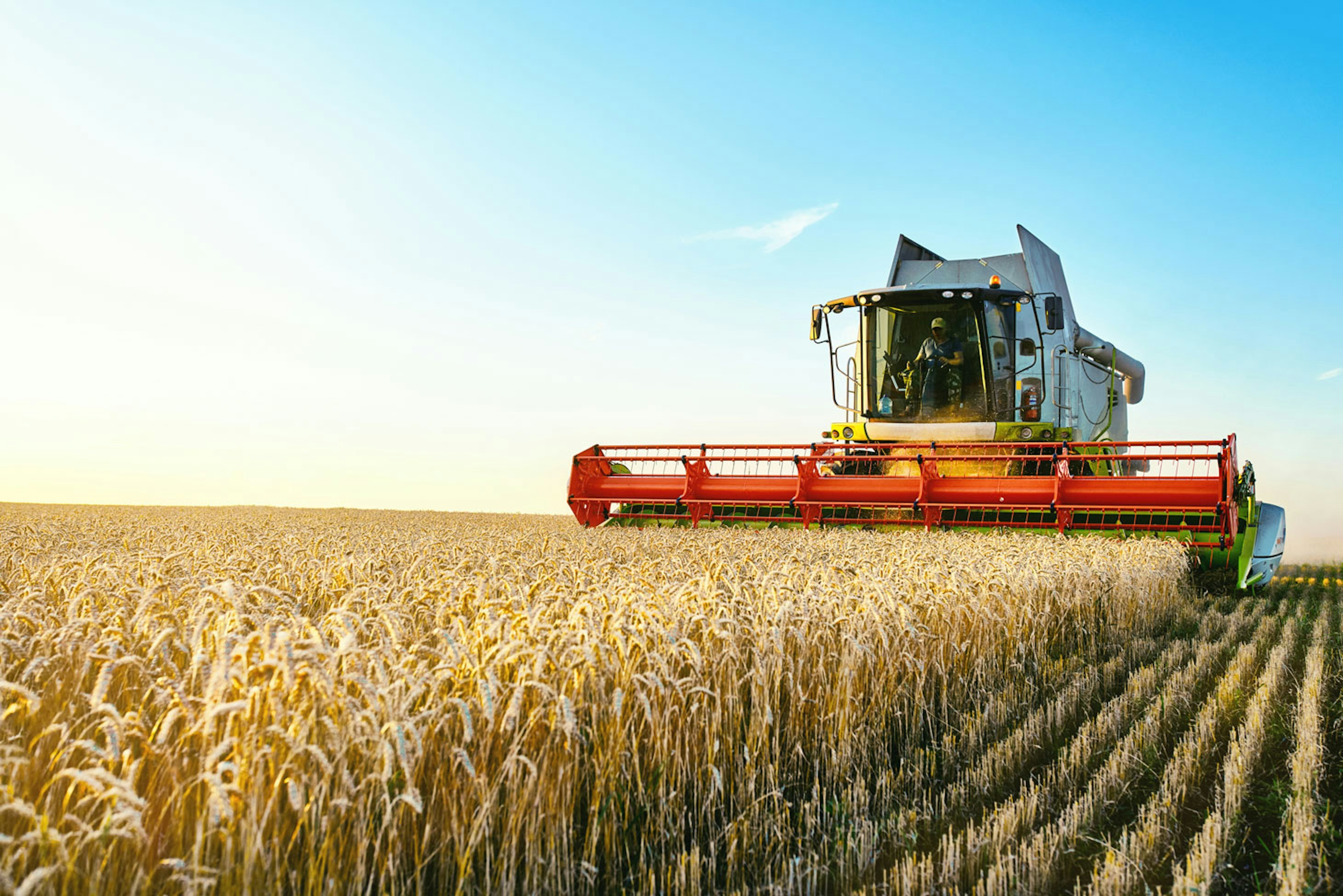 Arable farming