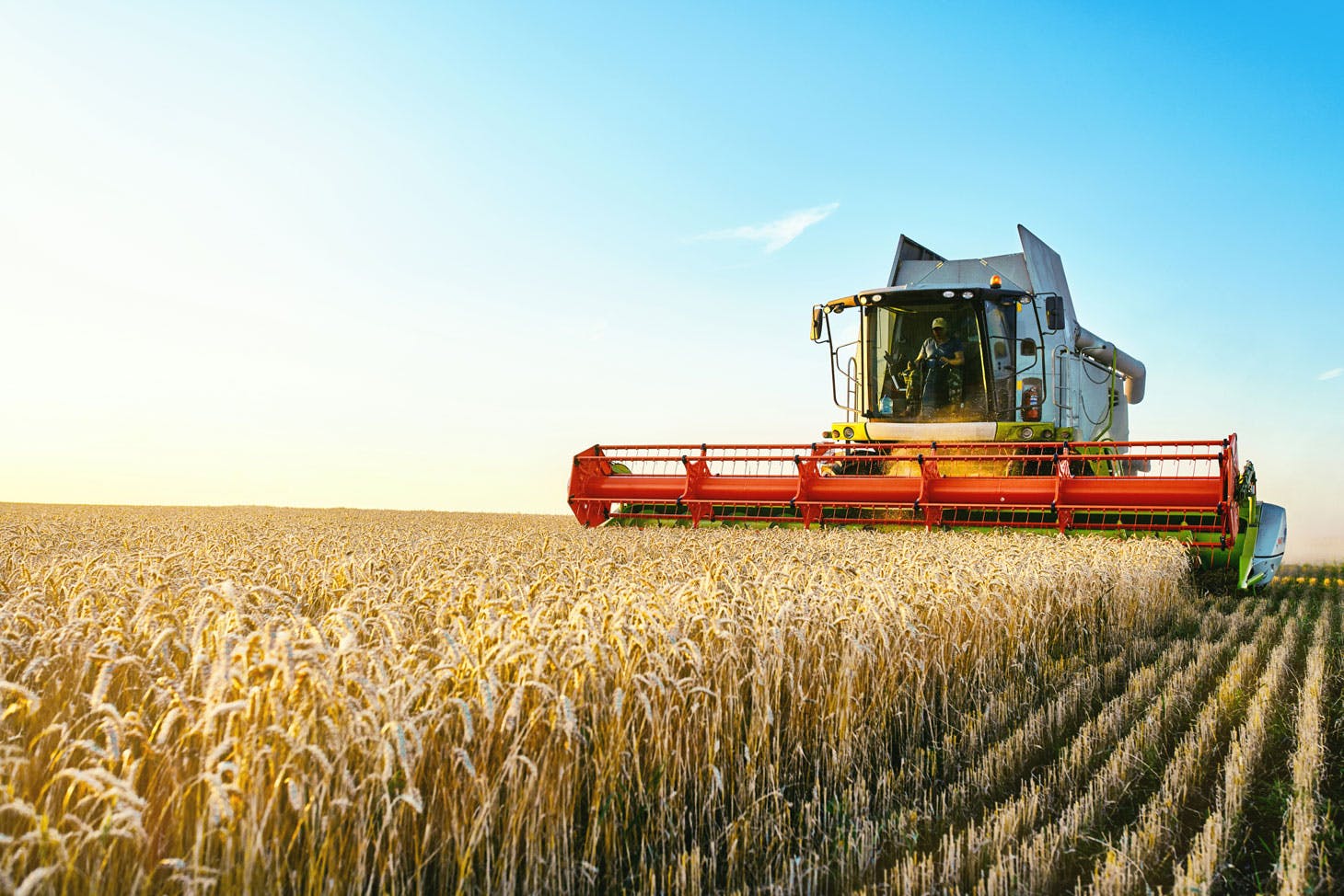 Arable farming