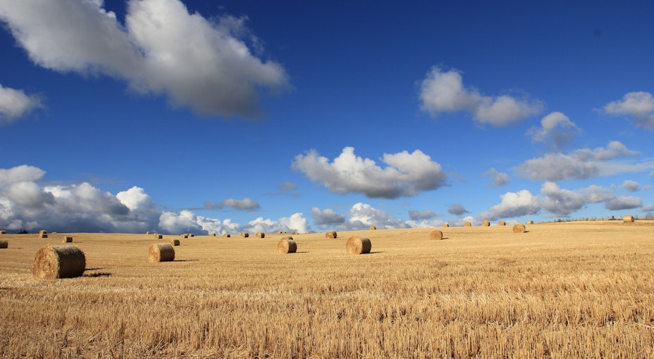 what is agricultural and horticultural credit insurance