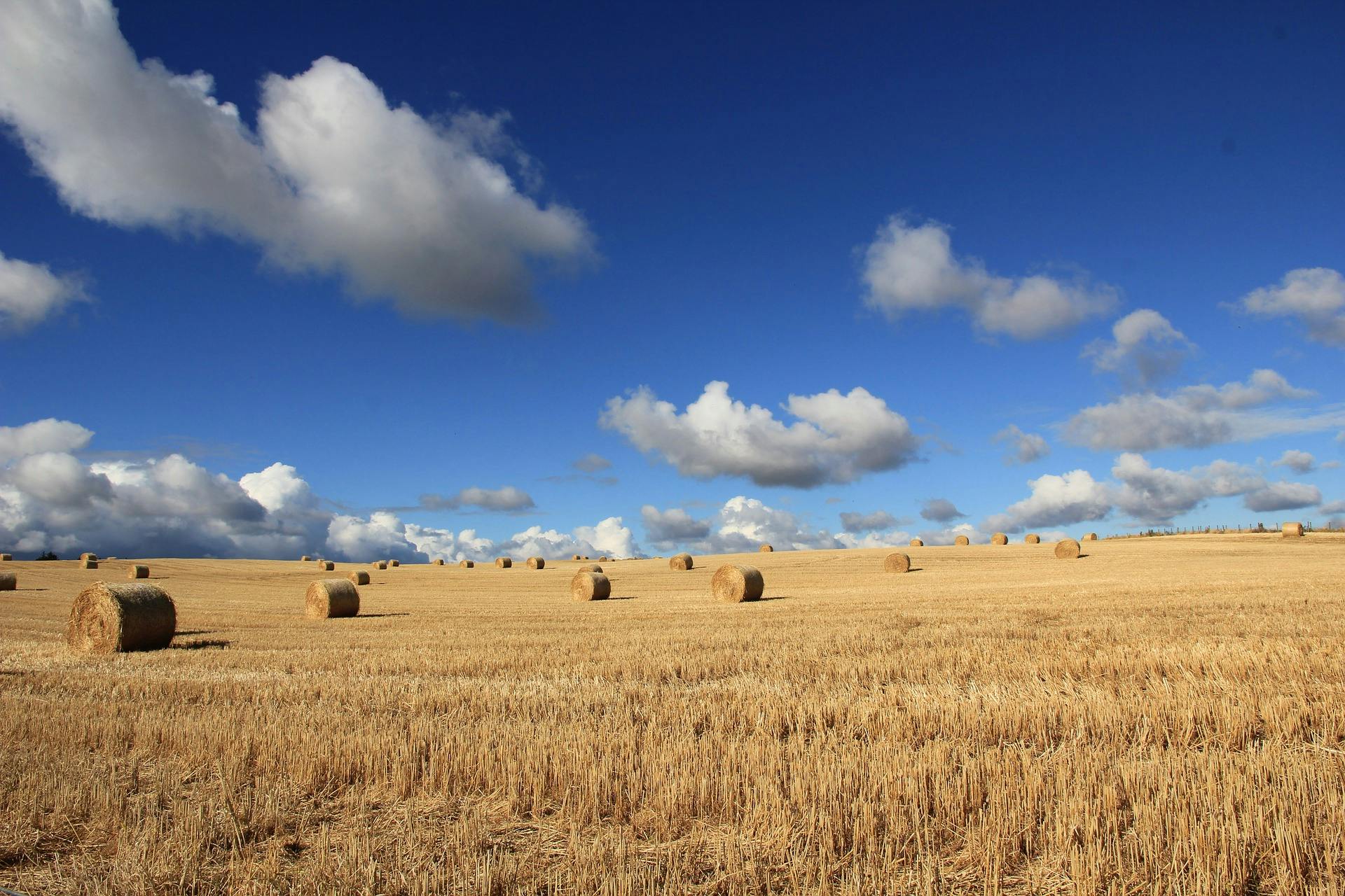 what is agricultural and horticultural credit insurance