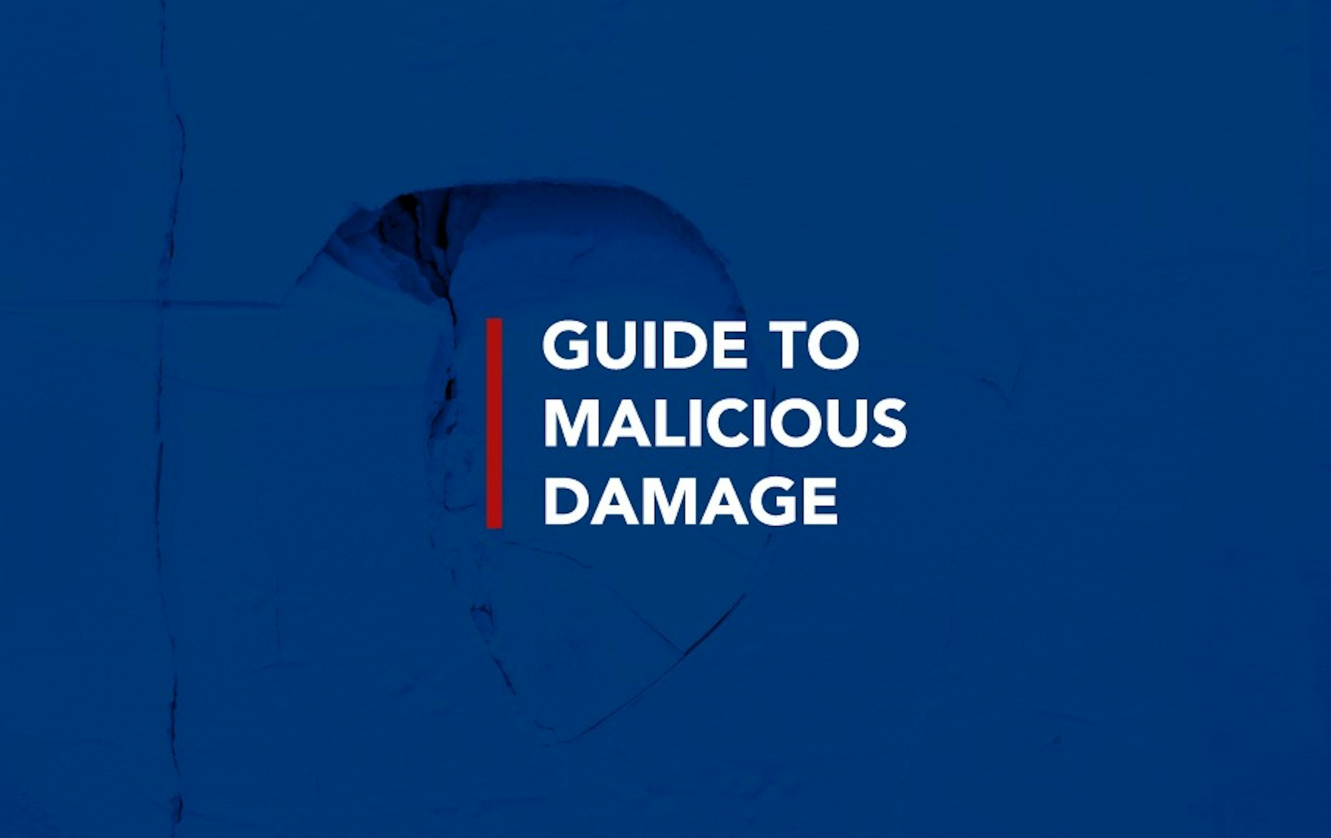 what is malicious damage