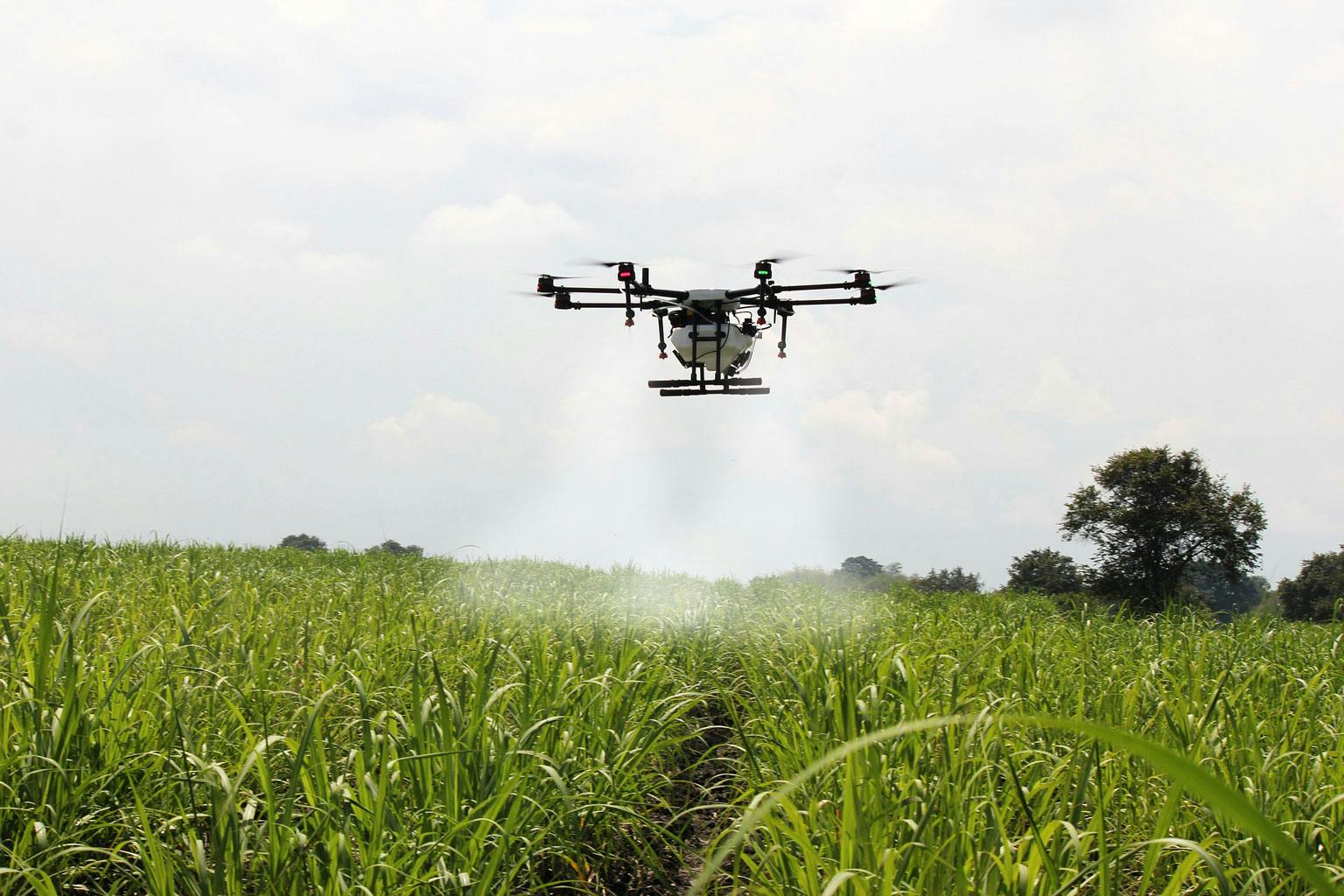 Modern agriculture farming