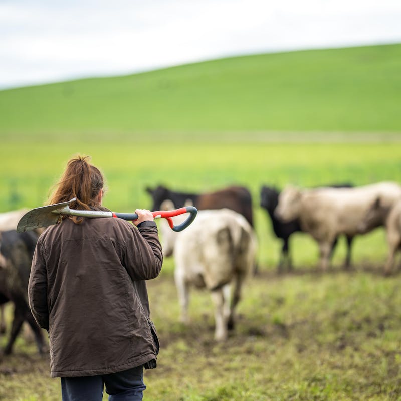Farm risks, management and maintenance
