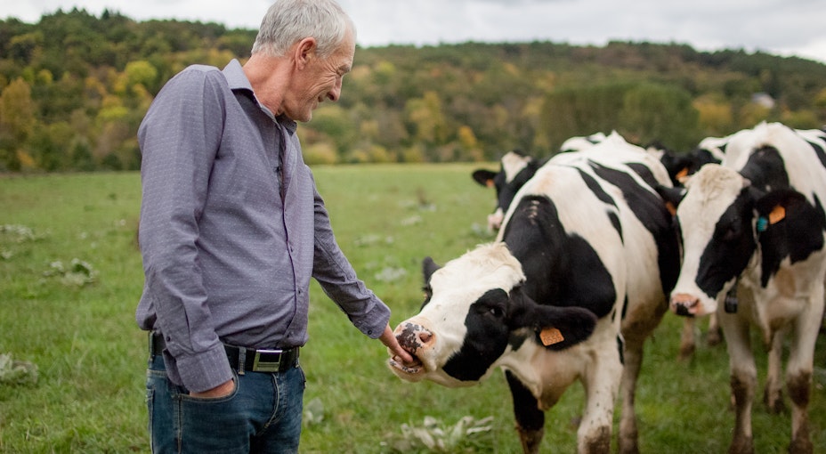 The benefits of insurance for farmers