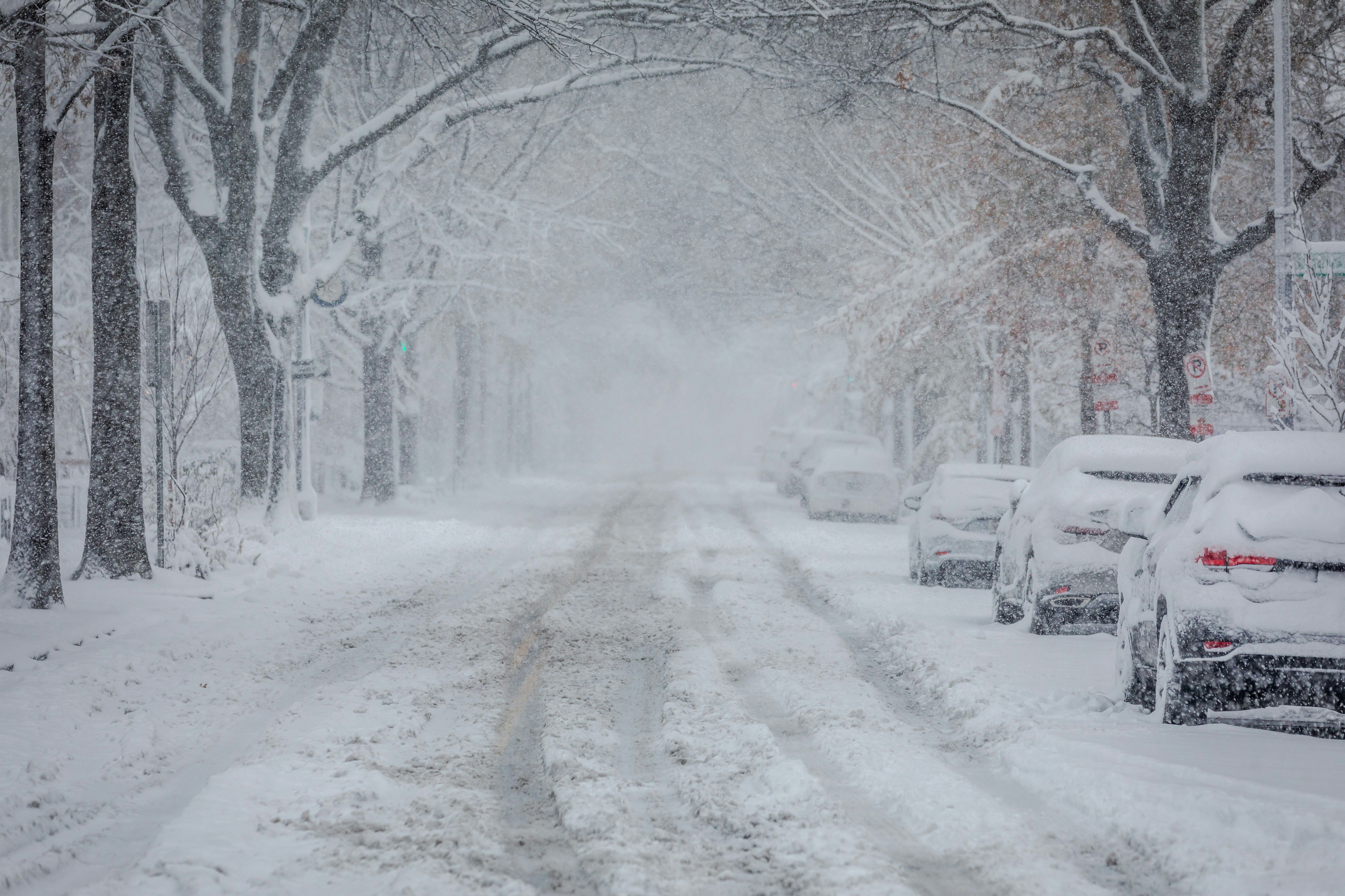 Snow on a street with trees and parked cars